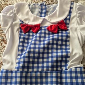 Girls Dorothy wizard of Oz costume